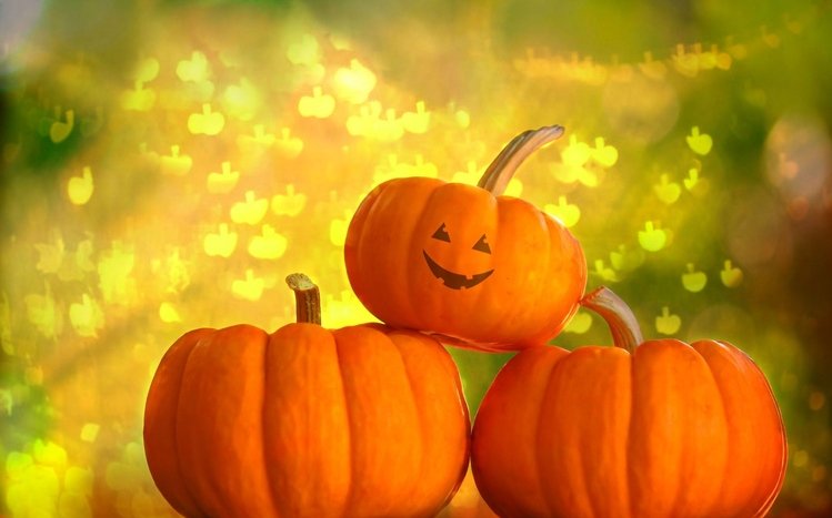 Pumpkin Theme screenshot #18