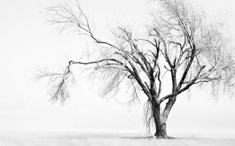 Sad Theme screenshot #1