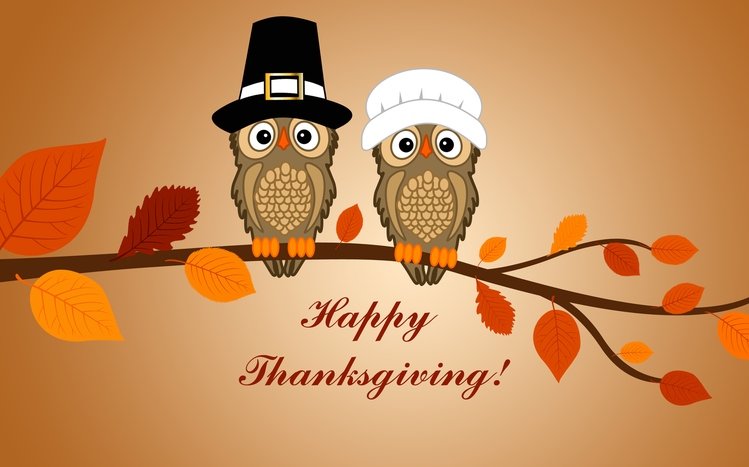 Thanksgiving Theme screenshot #18