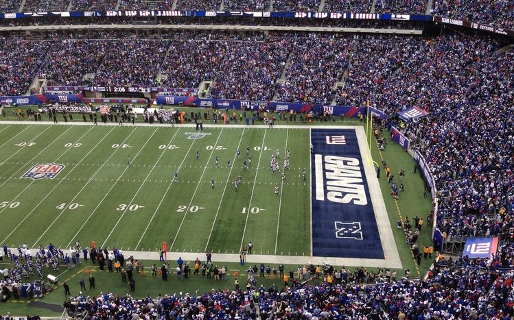 NY Giants Theme screenshot #13