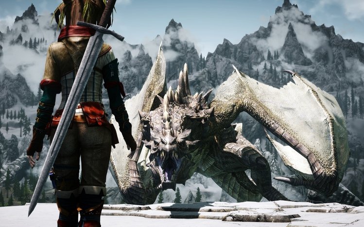 Skyrim Theme screenshot #5