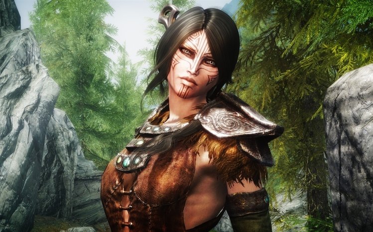 Skyrim Theme screenshot #6