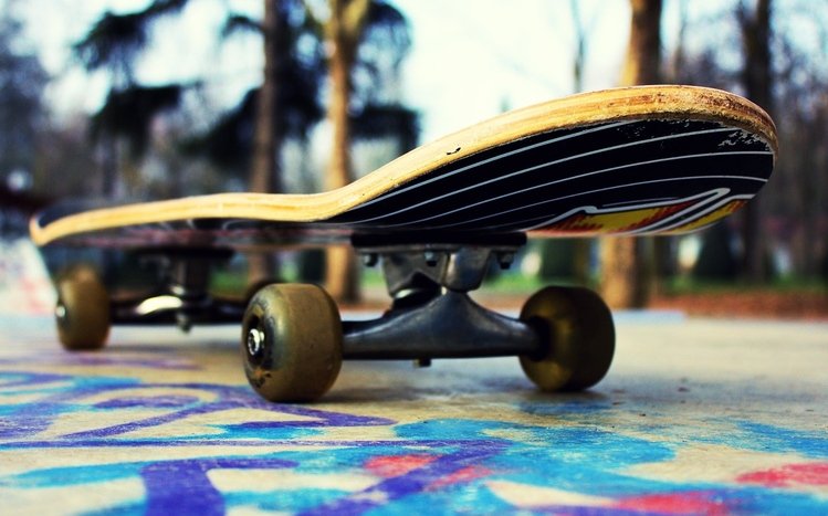 Skateboard Theme screenshot #16