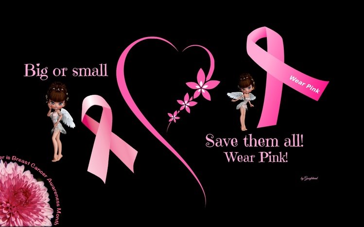 Breast Cancer Theme screenshot #8