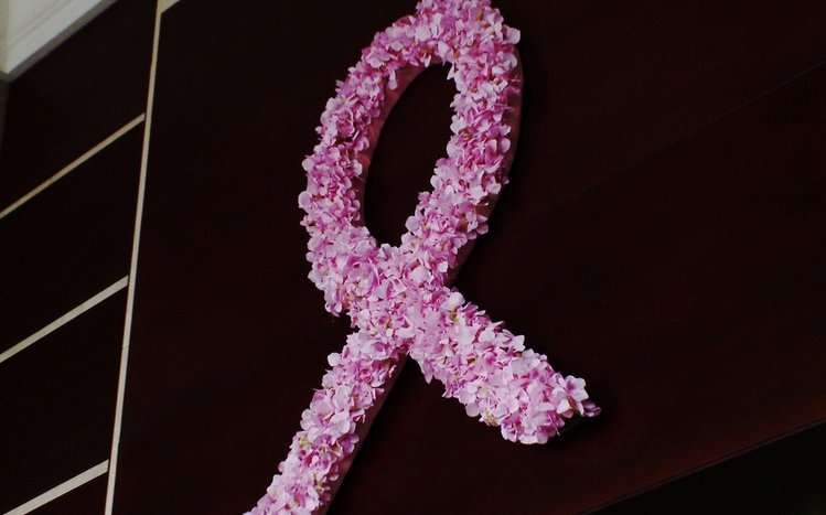 Breast Cancer Theme screenshot #12