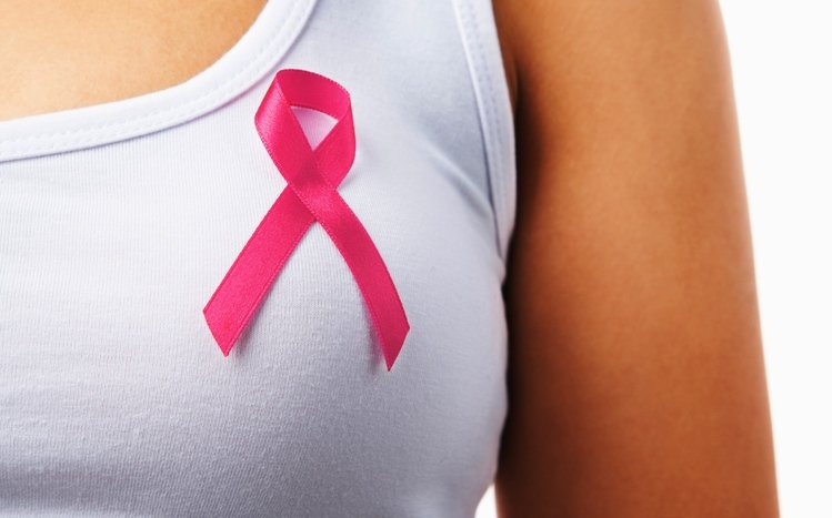 Breast Cancer Theme screenshot #1