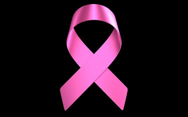 Breast Cancer Theme screenshot #11