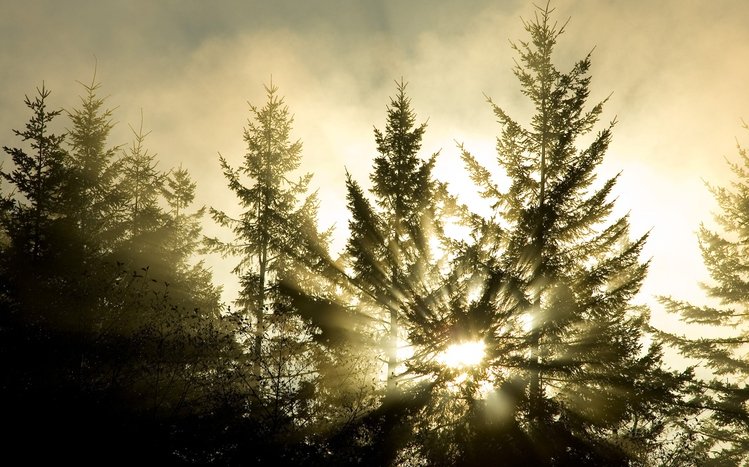 Epic Theme screenshot #7