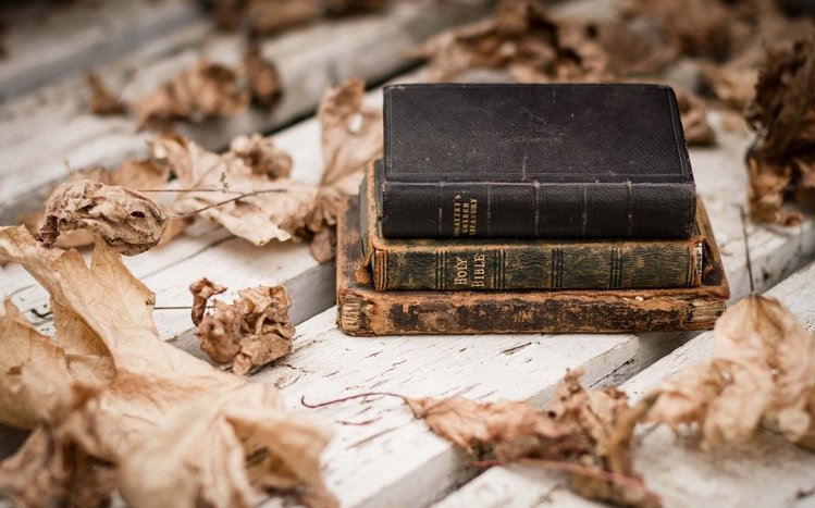 Book Theme screenshot #8