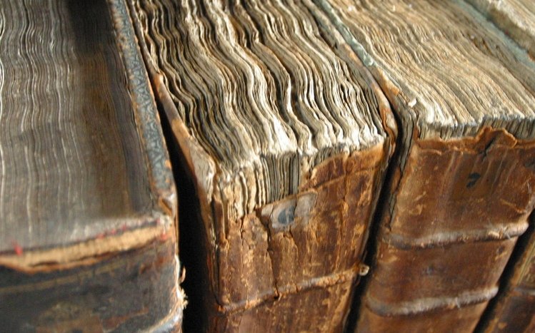 Book Theme screenshot #1