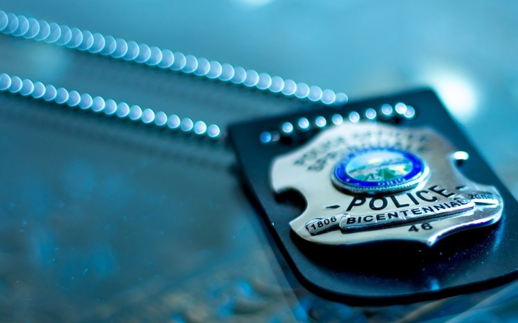 Police Theme screenshot #2