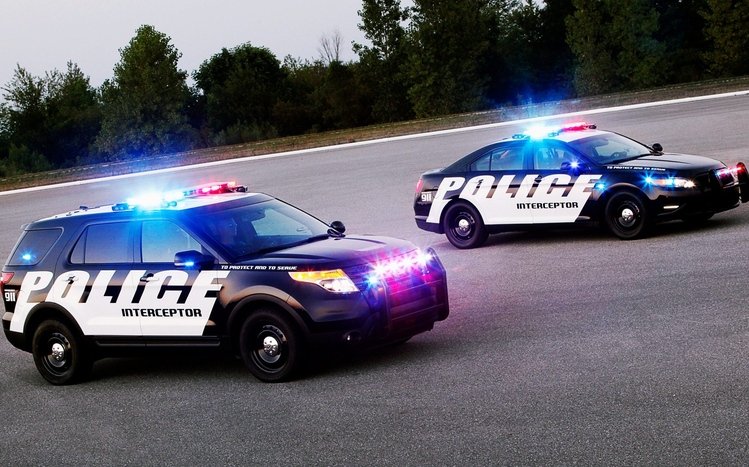 Police Theme screenshot #5