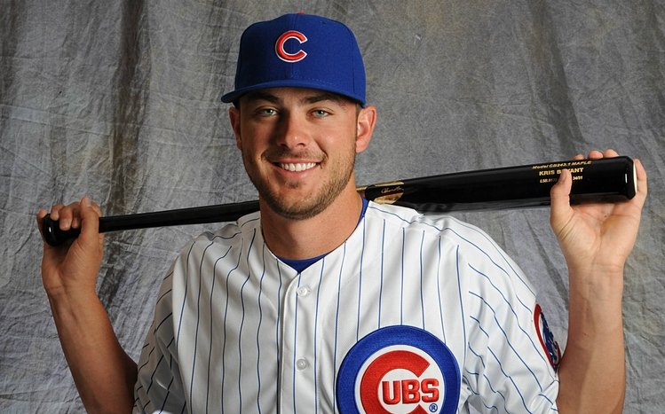 Chicago Cubs Theme screenshot #10