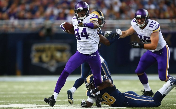 Minnesota Vikings Theme screenshot #3