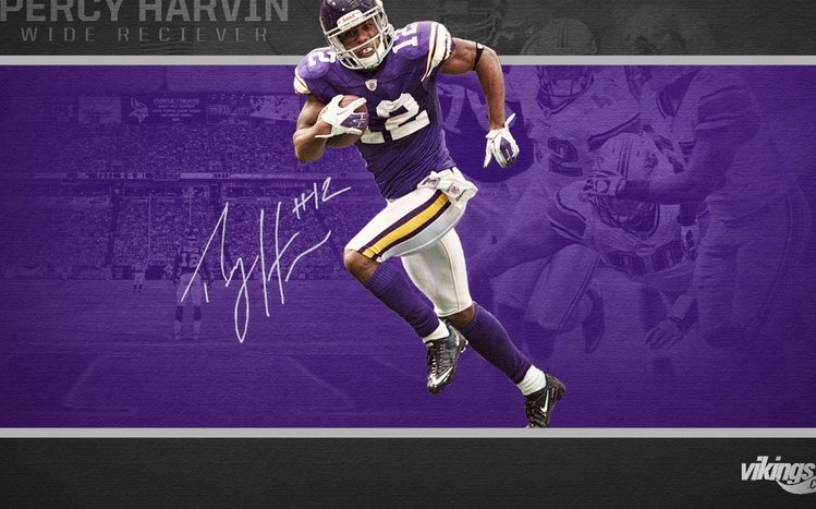 Minnesota Vikings Theme screenshot #14