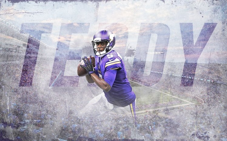 Minnesota Vikings Theme screenshot #8