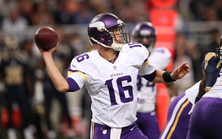 Minnesota Vikings Theme screenshot #2