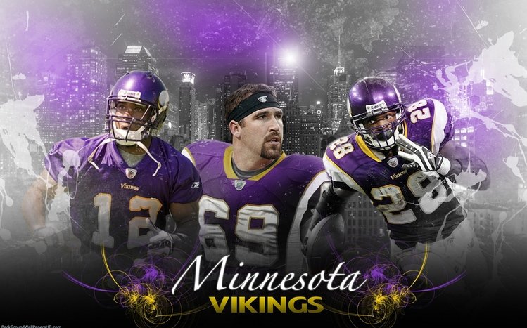 Minnesota Vikings Theme screenshot #9