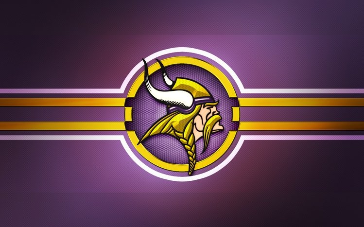 Minnesota Vikings Theme screenshot #6