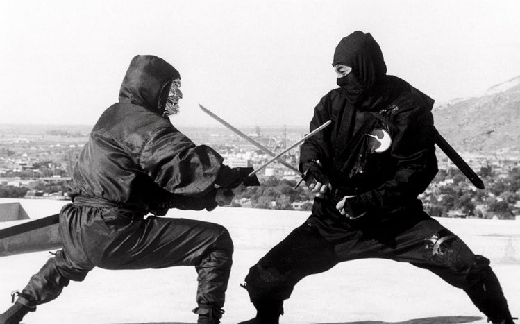 Ninja Theme screenshot #8