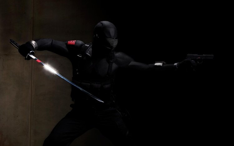 Ninja Theme screenshot #10