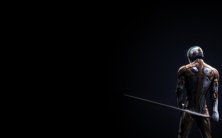 Ninja Theme screenshot #5