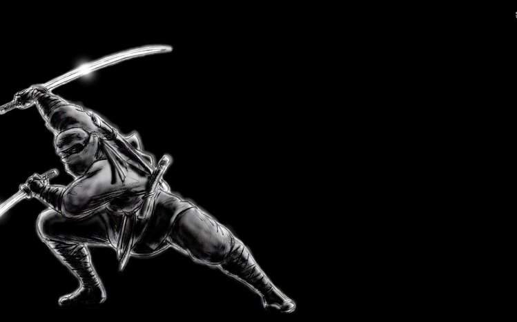 Ninja Theme screenshot #11