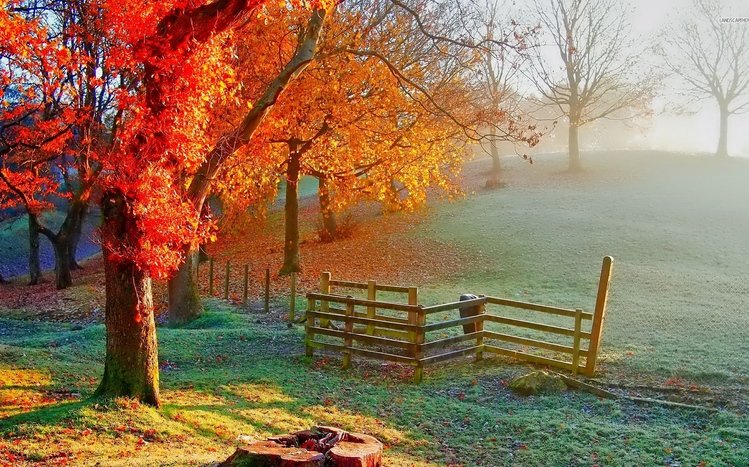 November Theme screenshot #13