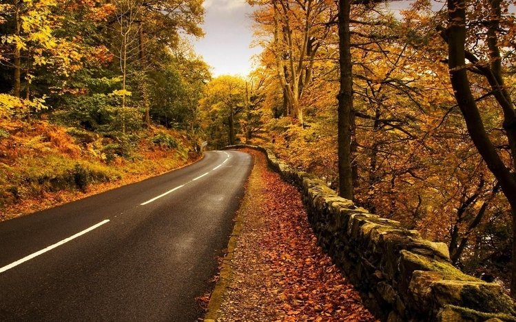 November Theme screenshot #7