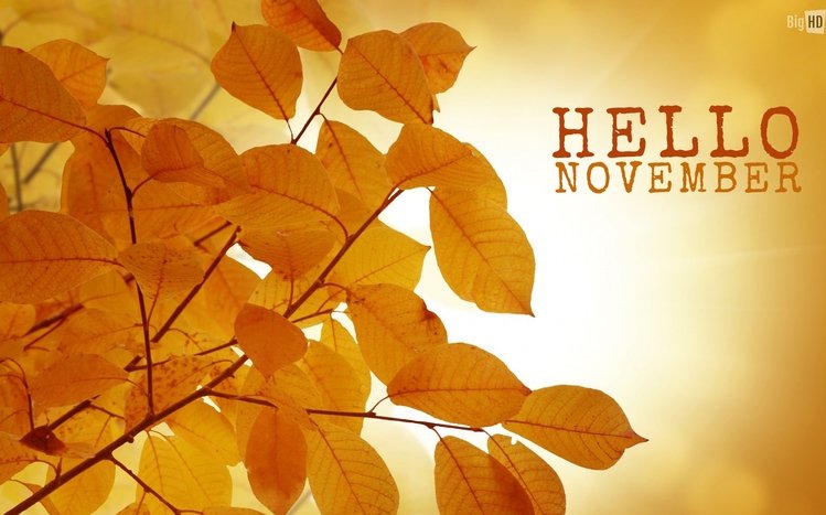 November Theme screenshot #10