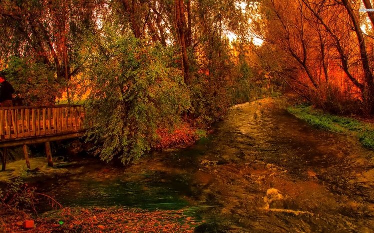 November Theme screenshot #12