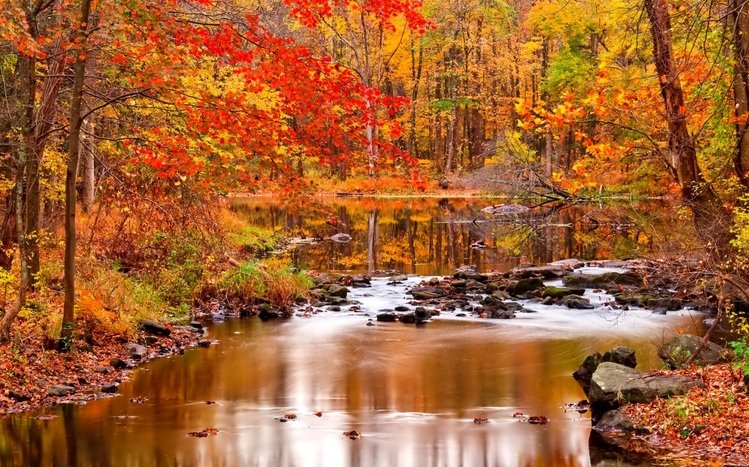 November Theme screenshot #11