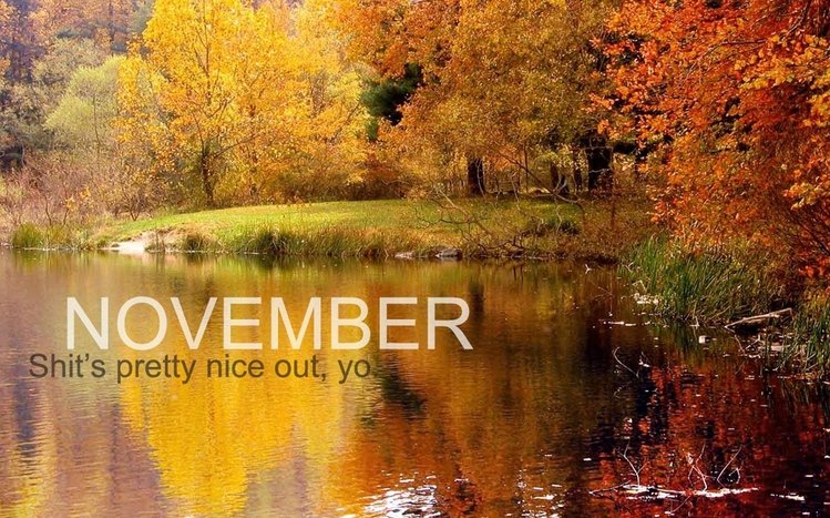 November Theme screenshot #9