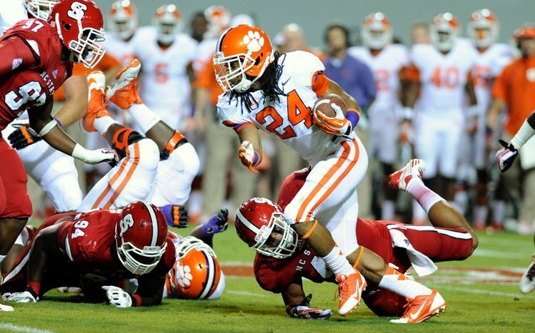 Clemson Theme screenshot #2