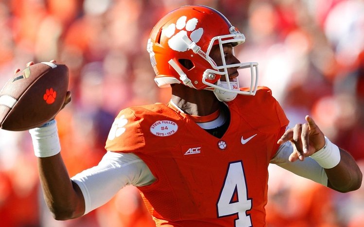 Clemson Theme screenshot #3