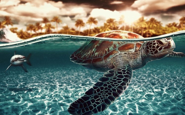 Turtle Theme screenshot #13