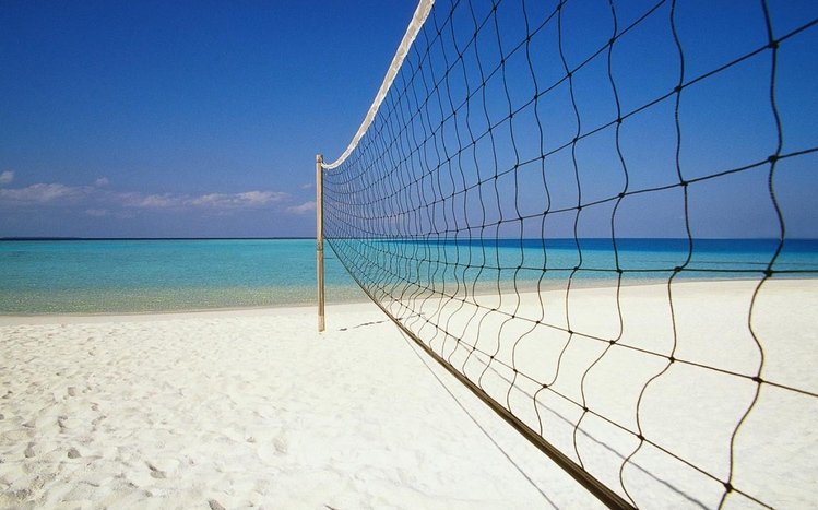 Volleyball Theme screenshot #14