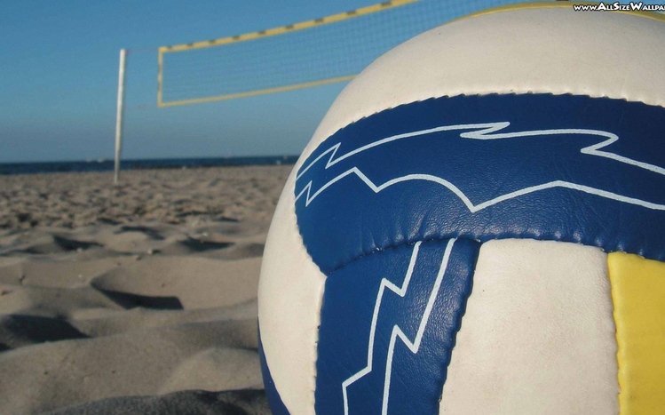 Volleyball Theme screenshot #10