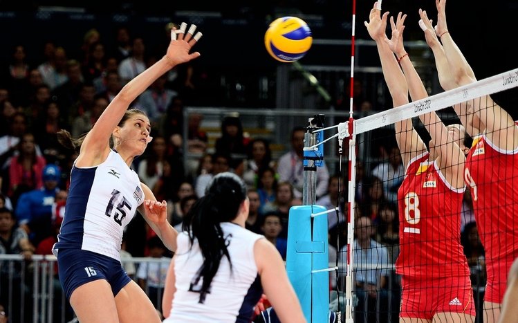 Volleyball Theme screenshot #2