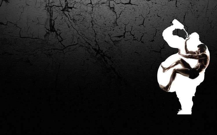 Fitness Theme screenshot #1