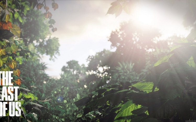 The Last of Us Theme screenshot #4