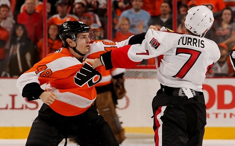 Hockey Theme screenshot #2