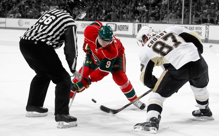 Hockey Theme screenshot #11