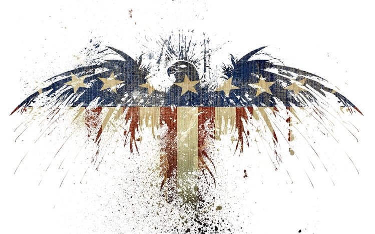 USA Theme screenshot #1