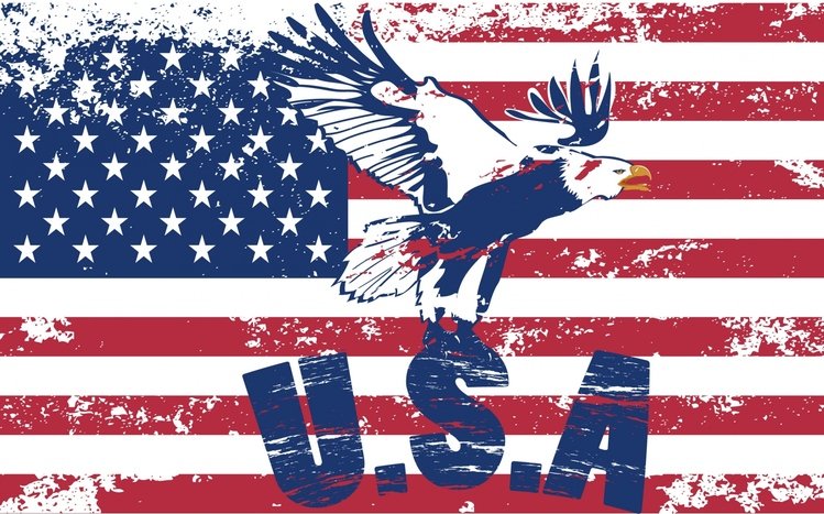 USA Theme screenshot #10