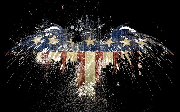 USA Theme screenshot #2