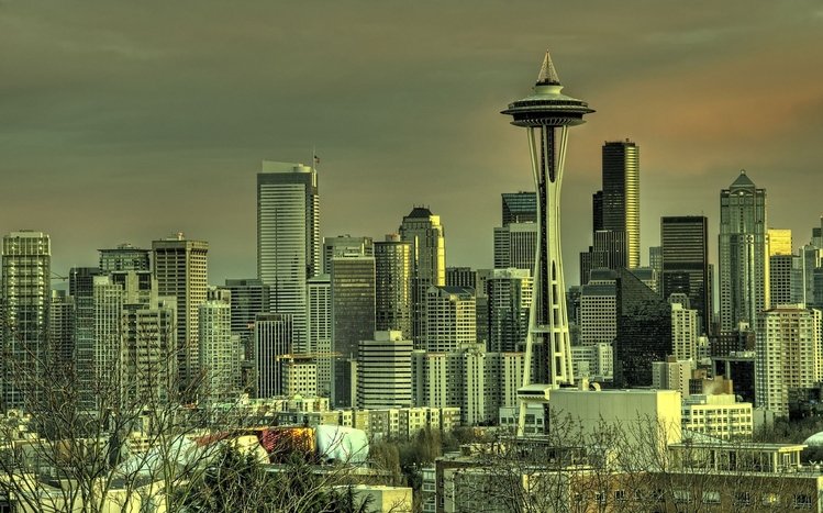 Seattle Theme screenshot #1