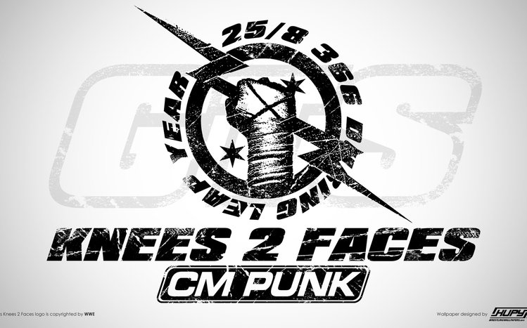 CM Punk Theme screenshot #9