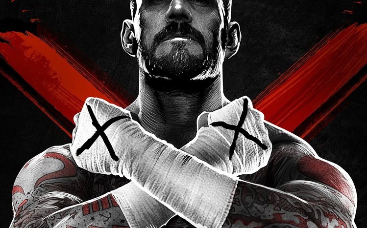 CM Punk Theme screenshot #7