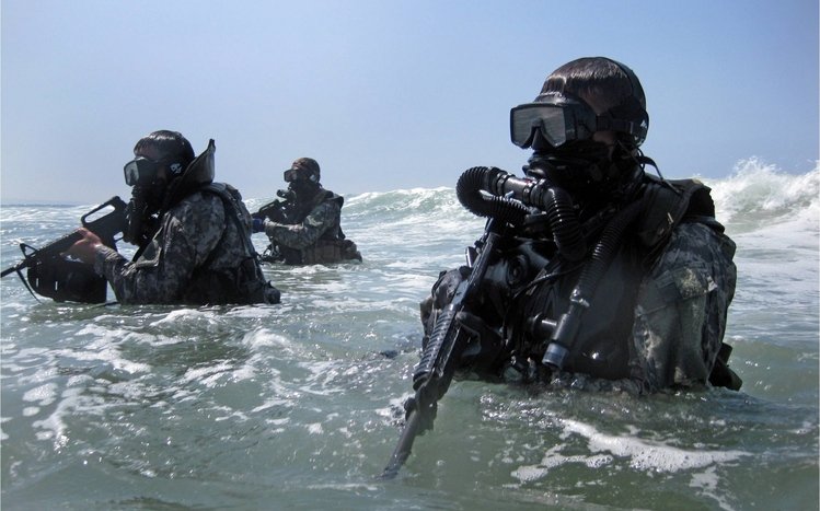 Navy SEAL Theme screenshot #1